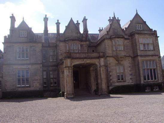 Bed and Breakfast Ryebrook House Cill Airne Esterno foto