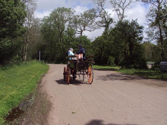 Bed and Breakfast Ryebrook House Cill Airne Esterno foto