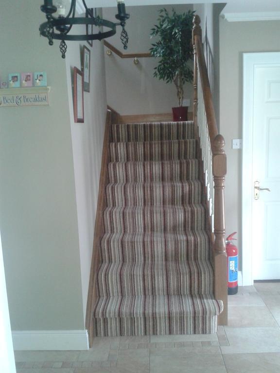 Bed and Breakfast Ryebrook House Cill Airne Esterno foto