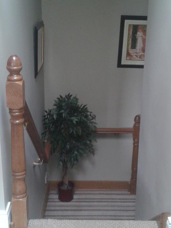 Bed and Breakfast Ryebrook House Cill Airne Esterno foto